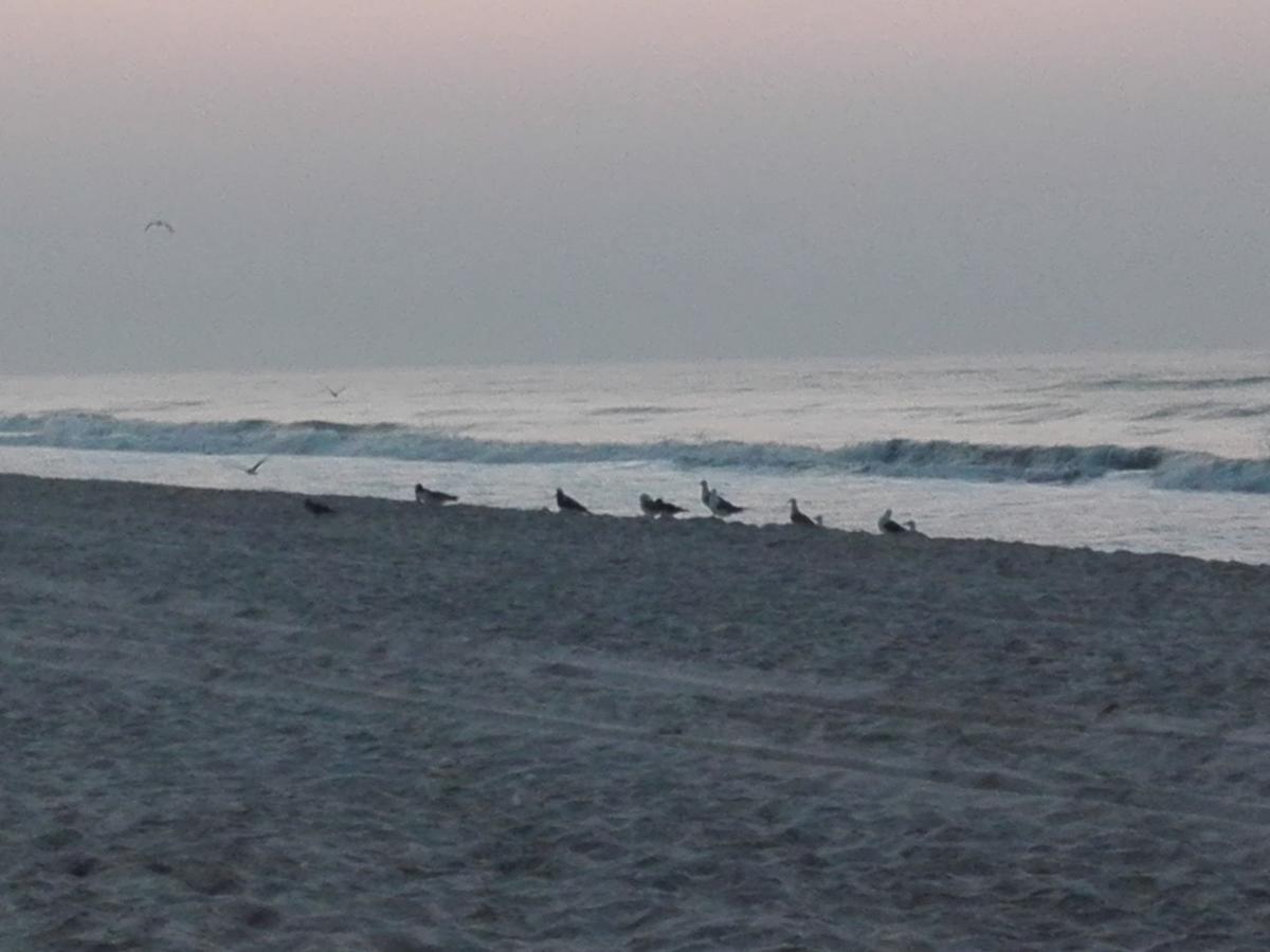 Salalah Beach Villas Buitenkant foto